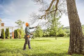 Best Hazardous Tree Removal  in Diablo Grande, CA