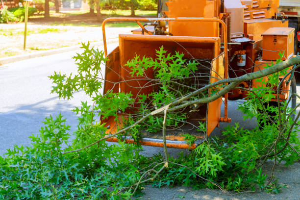 Best Lawn Grading and Leveling  in Diablo Grande, CA