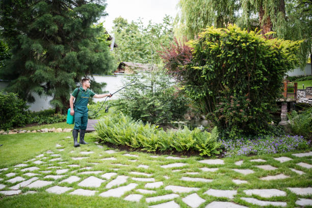 Best Tree Maintenance Programs  in Diablo Grande, CA